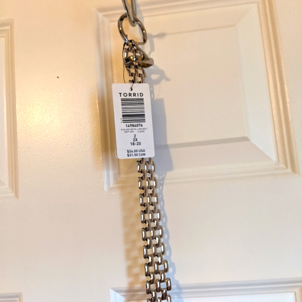 ✨NWT✨ Torrid Silver Metal Link Belt